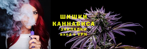 бошки Дмитров