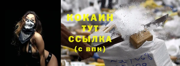 бошки Дмитров