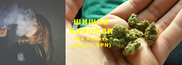 бошки Дмитров