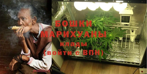 бошки Дмитров
