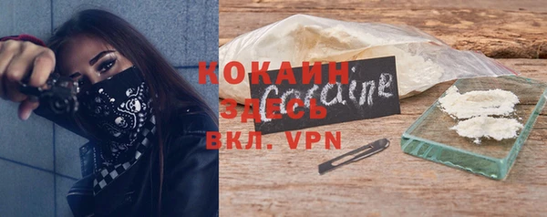 бошки Дмитров