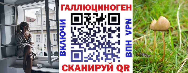Псилоцибиновые грибы Psilocybine cubensis  Купить  Калязин 